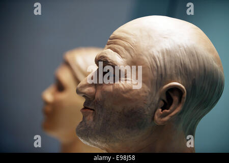 Bonn, Allemagne. 22 octobre, 2014. La reconstruction des visages de personnes de l'âge de pierre à l'exposition "Les chasseurs de l'âge de glace - Life in Paradise - Il y a 15 000 ans l'Europe' à Bonn, Allemagne, 22 octobre 2014. L'exposition peut être vu à la LVR-Landesmuseum à Bonn du 23 octobre 2014 jusqu'au 28 juin 2015. Photo : OLIVER BERG/dpa/Alamy Live News Banque D'Images