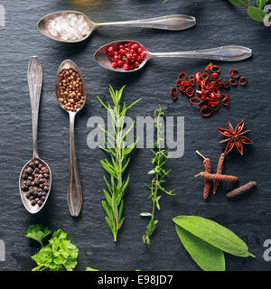 Afficher de fines herbes et épices poivre avec un assortiment de cuillères, de l'anis étoilé et le poivre de cayenne, le persil frais, l'origan et de feuilles de romarin, overhead view Banque D'Images