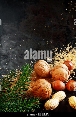 Les écrous de Noël traditionnel avec amandes, noisettes et cacahuètes dans leurs coquilles sur un fond sombre avec des cristaux de sucre et le feuillage du pin , avec copyspace Banque D'Images