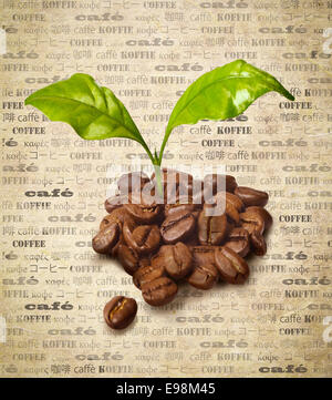 Les grains de café avec des feuilles vertes en croissance sur un papier de fond avec le mot coffee répétée plusieurs fois dans différentes langues Banque D'Images