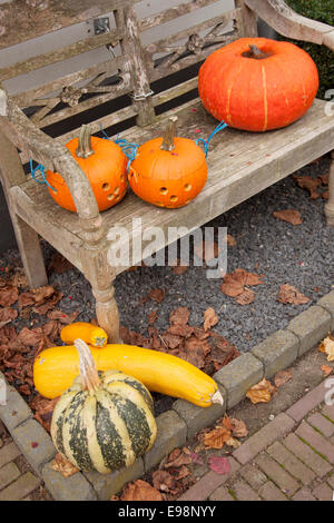 Citrouilles d'halloween en plusieurs couleurs sur banc en bois Banque D'Images