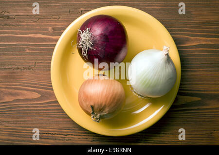Les différents oignons sur la plaque Banque D'Images
