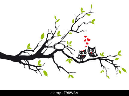 Cute owls amoureux assis sur arbre vert, vector illustration Banque D'Images