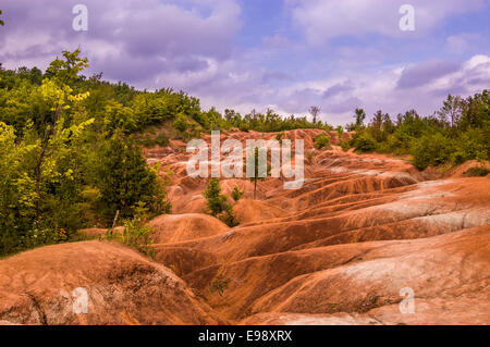 Situé dans la région de Caledon (Ontario) Canada le sol de couleur rouge Badlands de Cheltenham est une suite de dépôts d'oxyde de fer. Banque D'Images