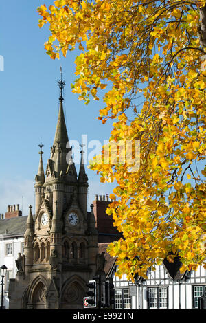 L'American Fontaine et Tulip Tree en automne, Stratford-upon-Avon, Royaume-Uni Banque D'Images