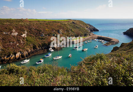 Porthclais Harbour, près de St David's, Pembrokeshire, Pays de Galles, Royaume-Uni Banque D'Images