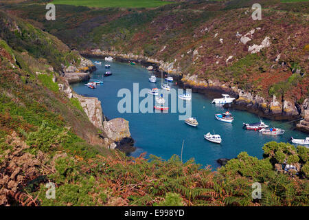 Porthclais Harbour, près de St David's, Pembrokeshire, Pays de Galles, Royaume-Uni Banque D'Images