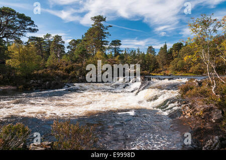 À l'ouest le long de la tumbling eaux de Garbh Uisge, Glen Affric, Highlands, Ecosse. Banque D'Images