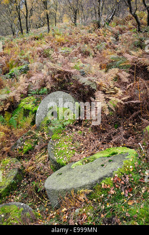 Meules abandonnées couvertes de mousses à Bolehill Quarry dans le Derbyshire. Banque D'Images