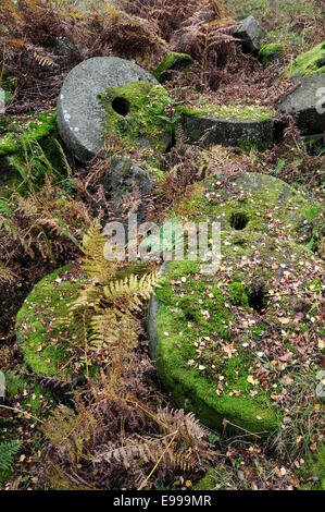Meules abandonnées couvertes de mousses à Bolehill Quarry dans le Derbyshire. Banque D'Images