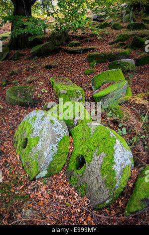 Meules abandonnées couvertes de mousses à Bolehill Quarry dans le Derbyshire. Banque D'Images