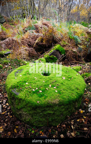 Une meule ronde couverte de mousse verte à Bolehill Quarry dans le Derbyshire. Banque D'Images