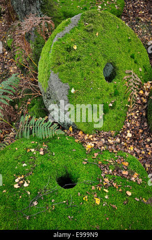 Meules couvertes de mousses à Bolehill Quarry dans le Derbyshire. Banque D'Images