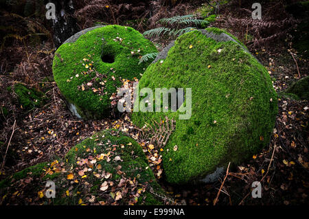Meules abandonnées couvert de mousse verte à Bolehill Quarry dans le Derbyshire. Banque D'Images