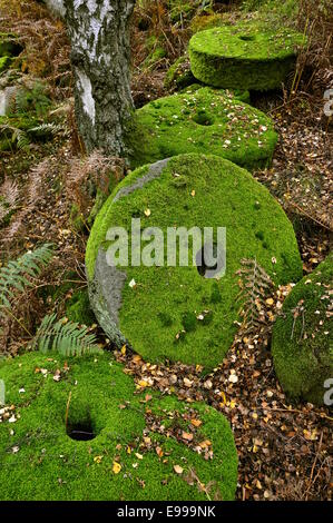 Meules rondes couvertes de mousses à Bolehill Quarry dans le Peak District. Et la mousse verte avec les feuilles tombées. Banque D'Images