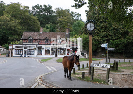New Forest pony à Burley, marcher le long de la route principale du village (Ringwood rd) Banque D'Images