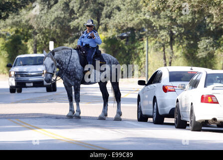 Houston, USA. 22 octobre, 2014. Un policier à cheval monte la garde à l'emplacement d'une fusillade à l'Hôpital Général Ben Taub à Houston, Texas, États-Unis, le 22 octobre 2014. Un homme et une femme ont été tués dans la fusillade qui s'est passé le jeudi à la clinique externe de pharmacie de l'hôpital, selon la police. Credit : Chanson Qiong/Xinhua/Alamy Live News Banque D'Images