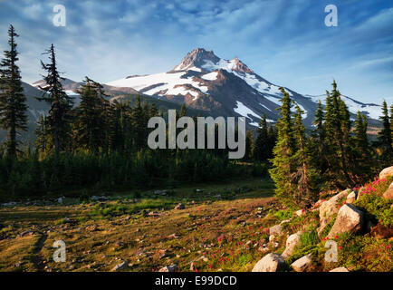 Lumière du matin baigne le centre de l'Oregon's Mt Jefferson avec indian paintbrush fleurissent dans la région sauvage de Jefferson Park. Banque D'Images