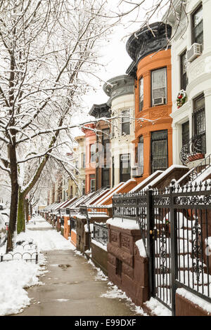 La neige sur les arbres et les perrons de Brownstone historique appartements à Crown Heights, Brooklyn Banque D'Images