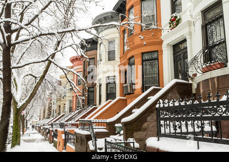 La neige sur les arbres et les perrons de Brownstone historique appartements à Crown Heights, Brooklyn Banque D'Images