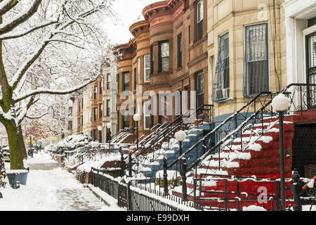 La neige sur les arbres et les perrons de Brownstone historique appartements à Crown Heights, Brooklyn Banque D'Images