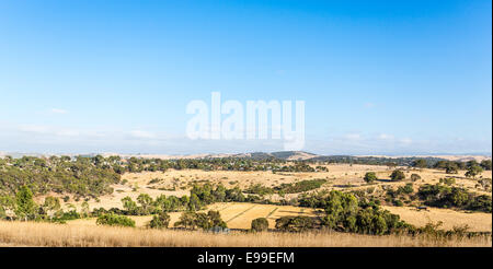 La vallée de la rivière tranquille et coupe à Victoria, Australie Banque D'Images