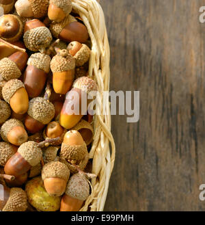 Panier plein de glands sur table en bois Banque D'Images