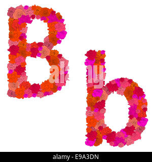 Caractères de l'alphabet de fleurs B-b Banque D'Images