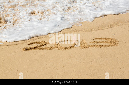 2013 écrit dans le sable avec des vagues Banque D'Images