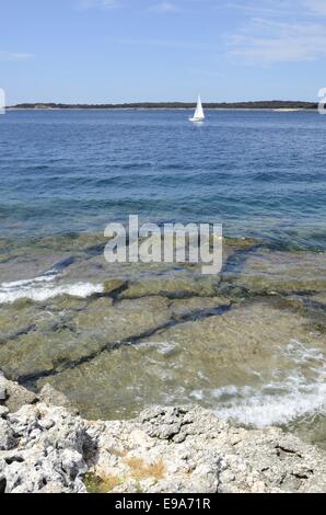 Le Parc National de Brijuni (Croatie) Banque D'Images