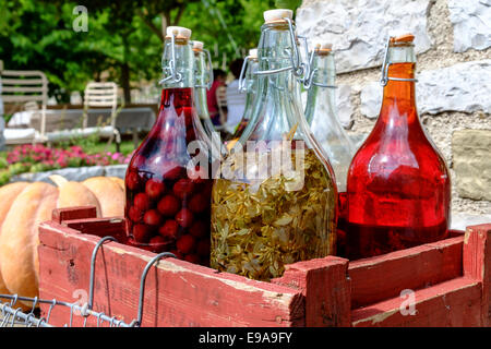 Une sélection de liqueurs faites maison photographié dans une taverne traditionnelle à kastoria, Macédoine, Grèce Banque D'Images