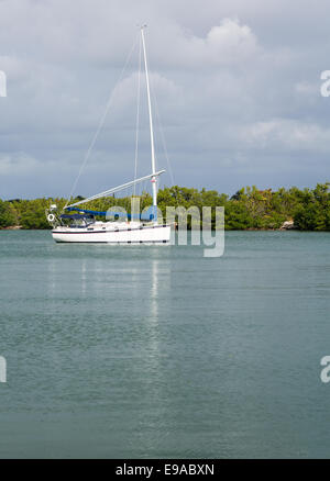 Yachts amarrés dans le port sans nom florida Banque D'Images