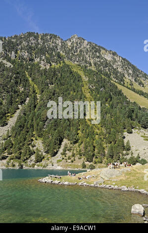 Paysage, Cauterets, Midi-Pyrénées, France Banque D'Images