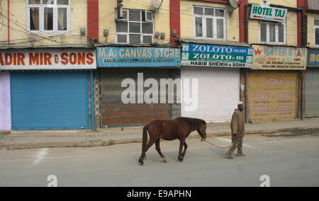 Srinagar, Cachemire sous administration indienne. 23 octobre, 2014. Un homme marche du cachemire rue avec cheval pendant une journée de grève comme magasins et commerces sont restés fermés au Cachemire en raison d'une grève pour protester contre les séparatistes a parrainé une visite dans la région par le Premier Ministre, M. Narendra Modi Crédit : Sofi Suhail/Alamy Live News Banque D'Images