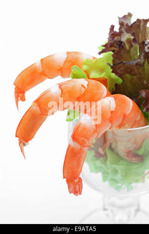 Salade de crevettes Banque D'Images