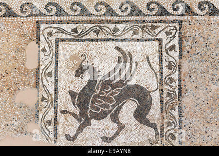 Griffin, mosaïque faite de pierres, Opus tessellatum, Musée archéologique, centre ville historique, Rhodes Banque D'Images