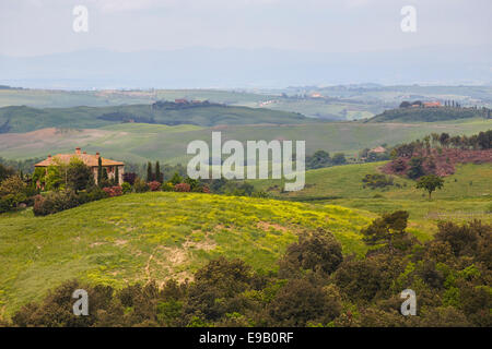 Paysage vallonné de la Crete Senesi, Arezzo, Toscane, Italie Banque D'Images