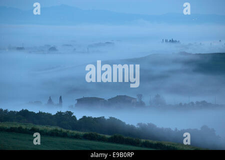 Tôt le matin, le brouillard dans les vallées de la Crete Senesi, Buonconvento, Chianti, Toscane, Italie Banque D'Images