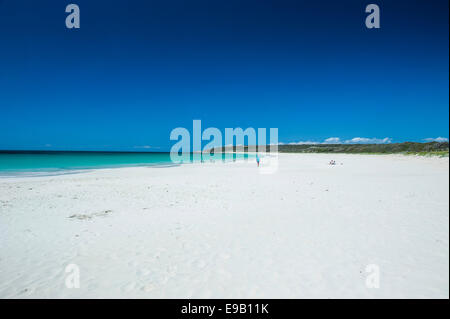 Plage de sable blanc et eaux turquoise, Shelley Cove, près de Eagle Bay, Australie occidentale Banque D'Images