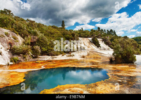 Hot spring dans la vallée volcanique, Nouvelle-Zélande Banque D'Images