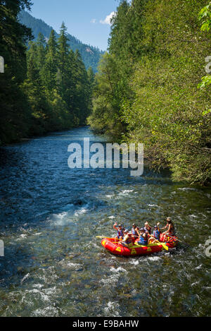 Rafting sur la partie supérieure de la rivière McKenzie, forêt nationale de Willamette, Oregon. Banque D'Images