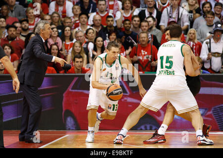 Munich, Allemagne. 23 Oct, 2014. Dimitrios Diamantidis (Nr. Panathinaikos Athènes, 13) la lutte pour le ballon. FC Bayern Munich vs Panathinaikos Athènes. Dpa : Crédit photo alliance/Alamy Live News Banque D'Images