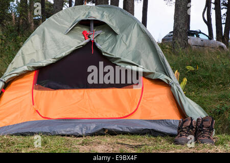 Deux tentes dans la forêt. Banque D'Images