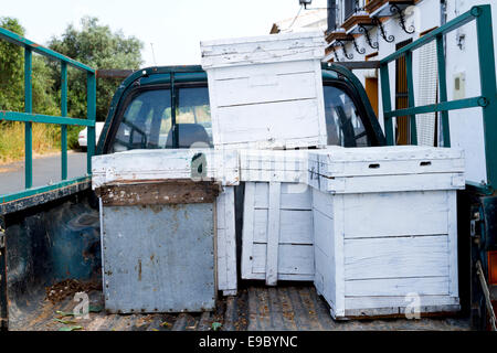 Les ruches en bois blanc à l'arrière d'une camionnette verte Banque D'Images