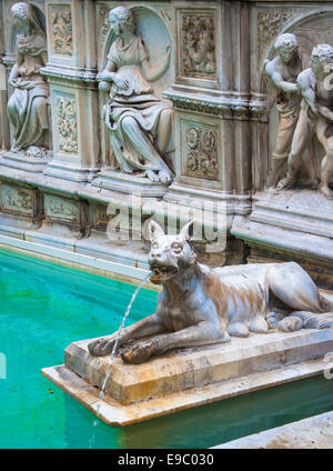 Fonte Gaia, Fontaine de joie, la Piazza del Campo, Sienne, Italie Banque D'Images