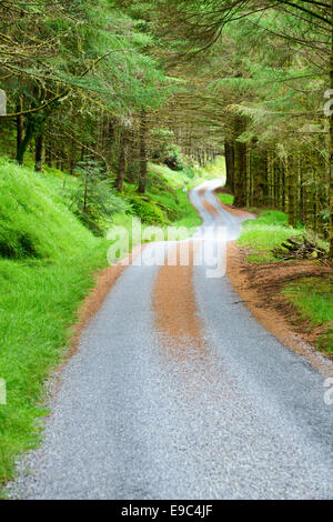 Scenic Route sinueuse à travers la forêt verte en Ecosse Banque D'Images