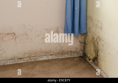 La moisissure sur le mur humide dans la chambre d'un bien loué. UK Banque D'Images