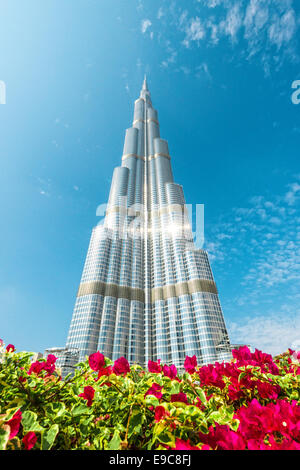 Dubaï, Émirats arabes unis - 8 décembre 2012 : Burj Khalifa disparaissant dans le ciel bleu. C'est structure la plus haute de monde depuis 2010, 829,8 mètres. Banque D'Images