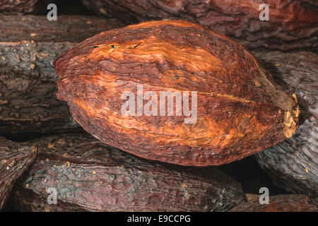 Les cabosses de cacao et bonbons Banque D'Images