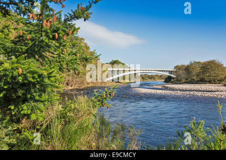 A96 PONT ROUTIER SUR LA RIVIÈRE FINDHORN PRÈS DE FORRES Ecosse au début de l'automne avec des pommes de pin et sapin Banque D'Images